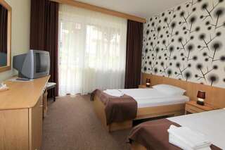 Отель Hotel Muresul Health Spa Совата Двухместный номер с 2 отдельными кроватями-1